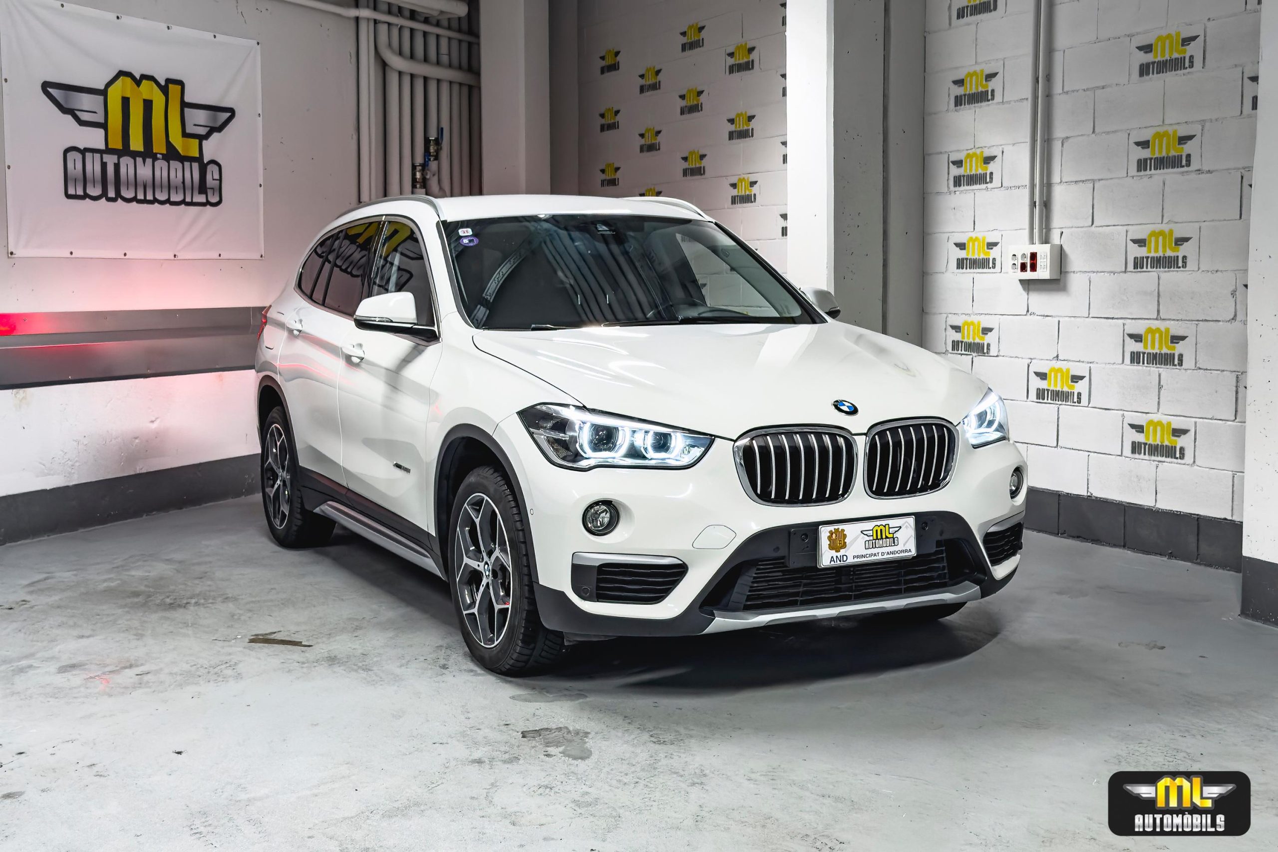 Imagen BMW X1 25i xDrive