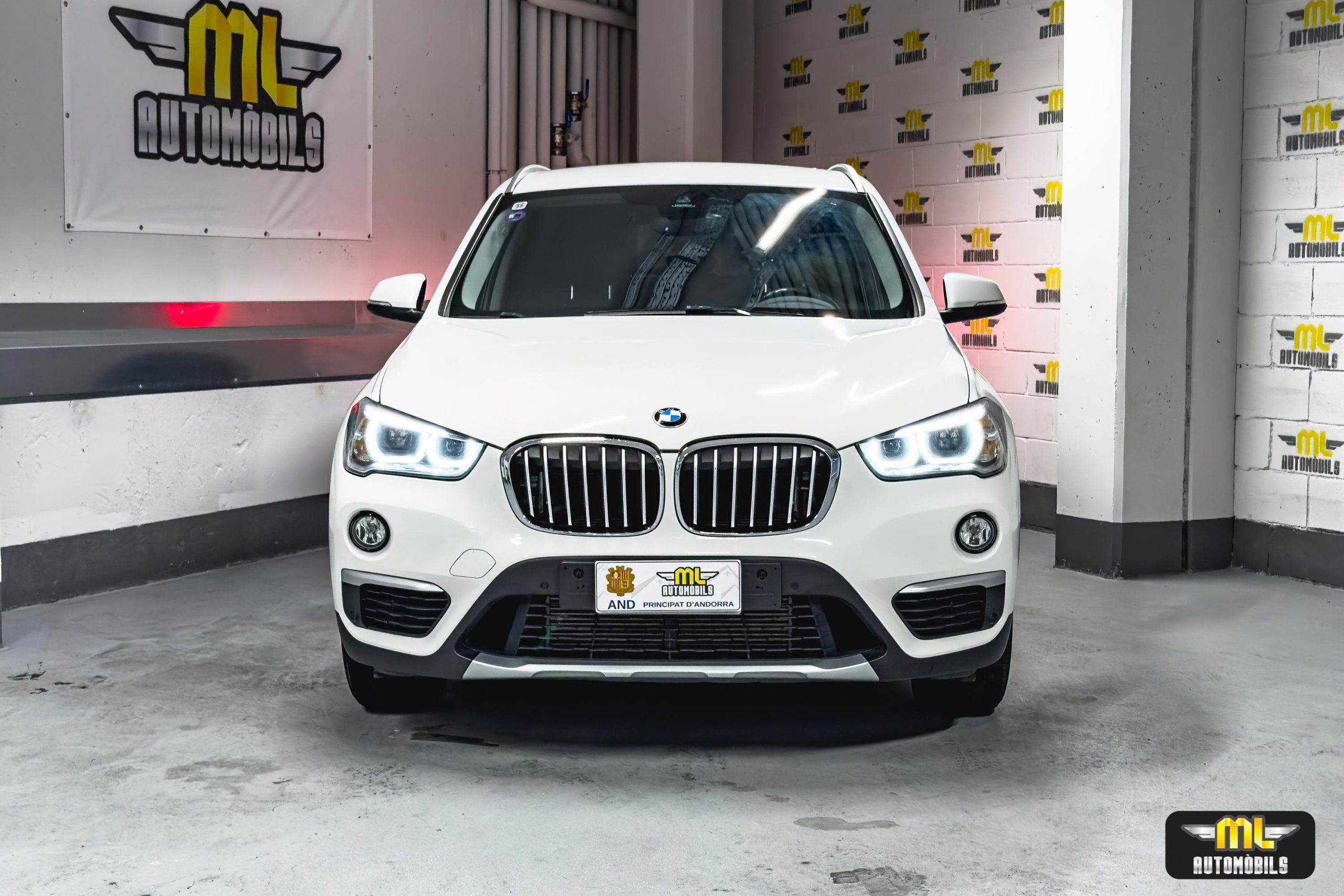 Imagen BMW X1 25i xDrive