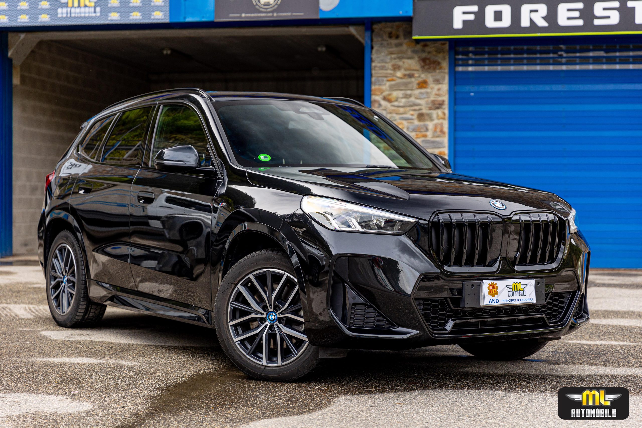 Imagen BMW X1 xDrive30e