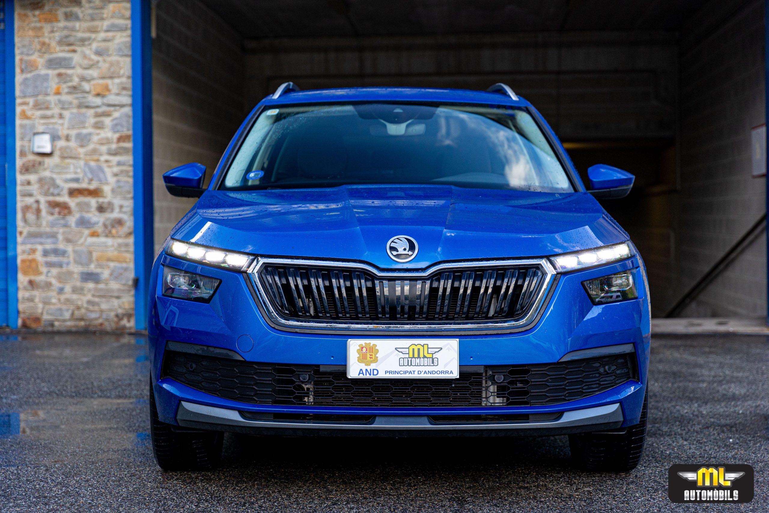Imagen Skoda Kamiq