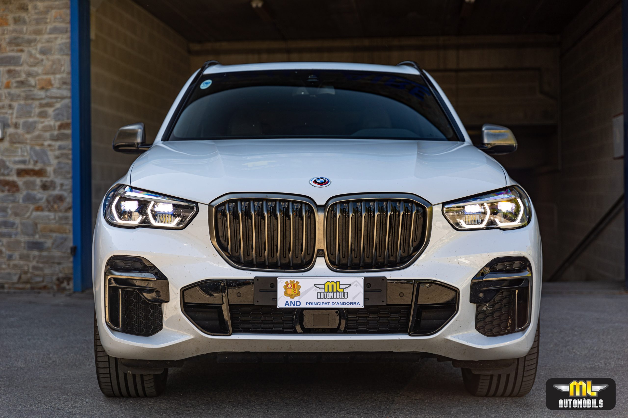 Imagen BMW X5 M50I XDRIVE